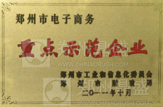 鄭州鼎盛獲2010年度電子商務(wù)示范企業(yè)